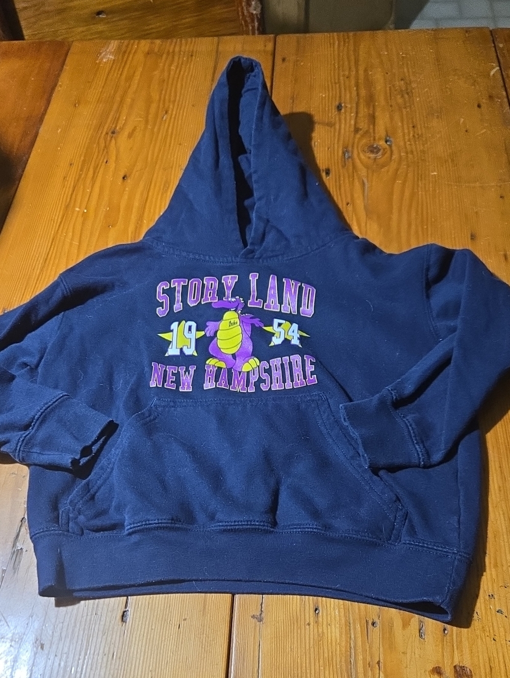 Story Land New Hampshire Navy Kids Hoodie Sz S